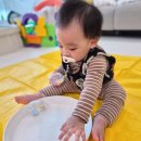 파파홈 - 태안군 멧골길 46 | [11개월 영유아 홈문센] 파파덕 후기_단추 촉감놀이