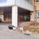 우솔초등학교 앞 이미지