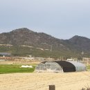 화원마을회관 이미지