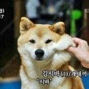 우리다음 이미지