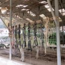 상생농장 이미지