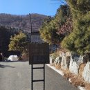 옛경춘로 L | [춘천카페] 춘천 오하이하우스 - 정원 이쁜 브런치카페