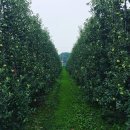 신덕농장 이미지