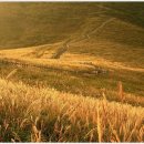 문수목장 이미지