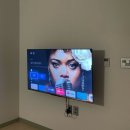 스테이하례 이미지