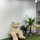 아이덴스튜디오