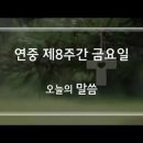 2026. 05. 29 / 연중 제8주간 금요일 이미지