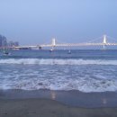 달빛의 대화 이미지