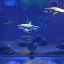 (해설이있는)힐링영화 이미지