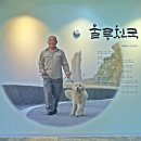 울릉천국 아트센터 이미지