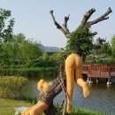 초만원 이미지
