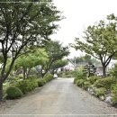 스팅 펜션 이미지