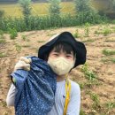 한들물빛 꿈나무 태권도 이미지