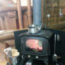 거목 통나무집 이미지