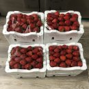 삼례읍 행정복지센터 이미지