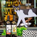 파라다이스 이미지