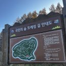 내오천마을회관 | 평창 국민의숲 트레킹길 애견동반 가능 | 우리 강아지 끝내주는 산책코스