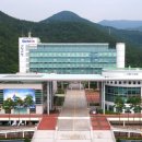 주정차-39 이미지