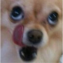 하양유도관 이미지