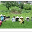 금남2리 마을회 이미지