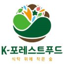 포레스트K