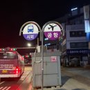 금곡중학교 | 2박3일 D+3(7)] 인천공항 도착층 한식당 플레이팅 가격 후기 남양주 공항버스 8843번 요금 노선도 시간표