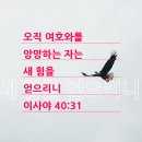 20240421 주일 설교 "하나님께서 명하신대로 살기만 하면" 이미지