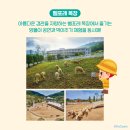 주니패키지