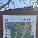 E_마트(67029) 이미지