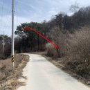홍북읍 하유정마을회관 | 홍성군토지(임야)경매-2023타경16314, 홍성군 토지(임야)경매♠♠충청남도 홍성군 홍북읍 신정리- 물건경매