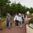 달빛 고래 트레킹 이미지