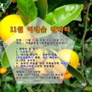 이레농장 2 네이버블로그