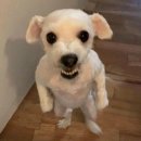 영화로 보는 한국사 | 제75회 한국사능력검정시험 심화 1급 합격 후기