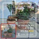 (주)봉봉 | [보니타봉봉 정읍점] 여성 의류 매장 유리 청소 후기, 상가 유리 청소 전문 클레브