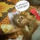 시민정육점 - 중랑구 동일로109길 55 | 시민정육점