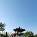 창원 가볼 만한 곳 추천! 창원수목원에서 힐링 산책과 전망대 뷰 후기