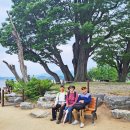 양서면사무소 1층 | 52. 두물머리 물래길