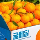 귤메달