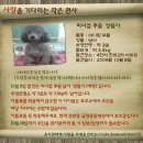 아이 아이