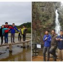 재단법인 산림힐링재단 이미지