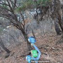 공굴러 가유 | 경주 화랑의언덕 (OK그린)파크골프장(1)