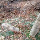 석주권필 유허비 네이버블로그