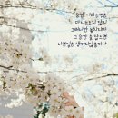 엔돌핀 Daum카페