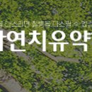 자연치유약국 이미지