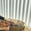 구룡달전로 이미지