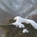 선경산업(주) 이미지