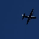 오늘 8월17일 55기 공수 마자막 날 C-130 허큘리스 수송기 낙하 시작 이미지