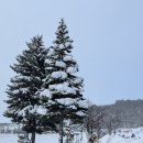 삿포로 여행 후기(2)