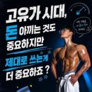 바디엔지니어스