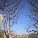 신성교회 민간 개방화장실 | 주기적 휴일의 탄생